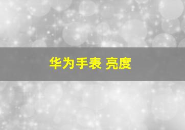 华为手表 亮度